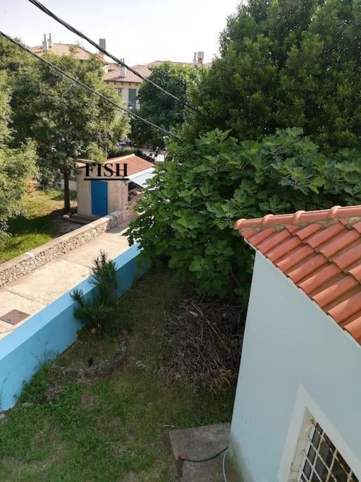 Nerezine Apartmany Centrum المظهر الخارجي الصورة